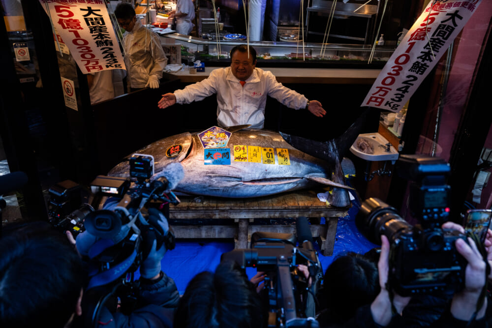 Bluefin tuna sells for record ¥510 million  at year-opening auction at Tokyo fish market
