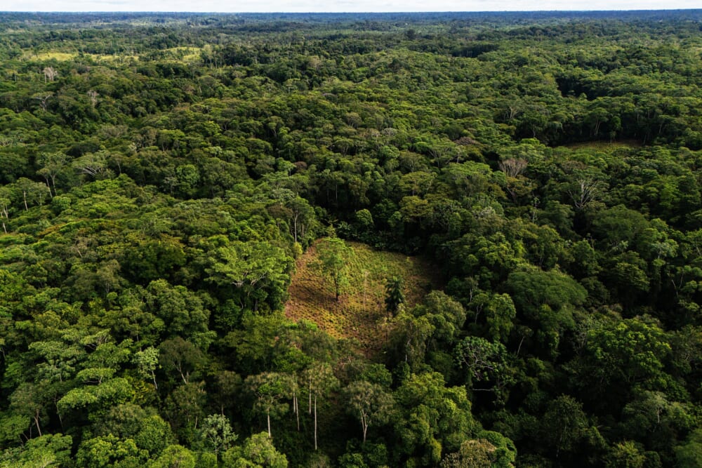 Colombia will use drones to destroy coca crops as it grapples with record cocaine production