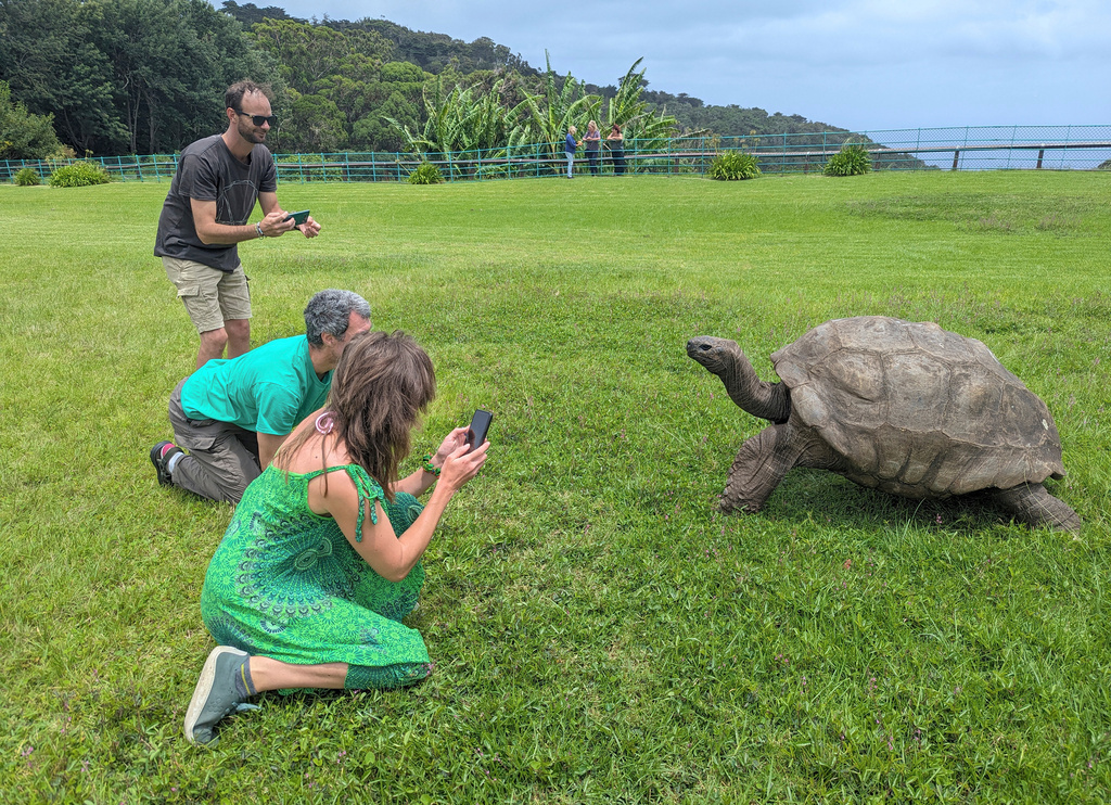 World’s oldest tortoise is alive after false death report