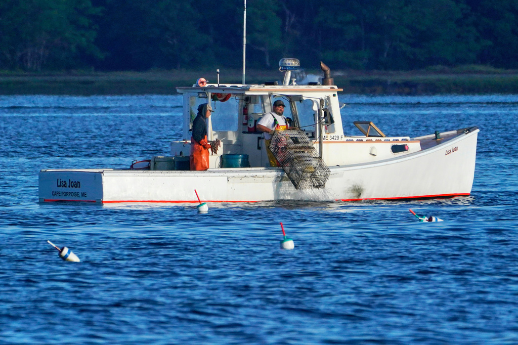Recent sustainable seafood ratings leave shoppers confused