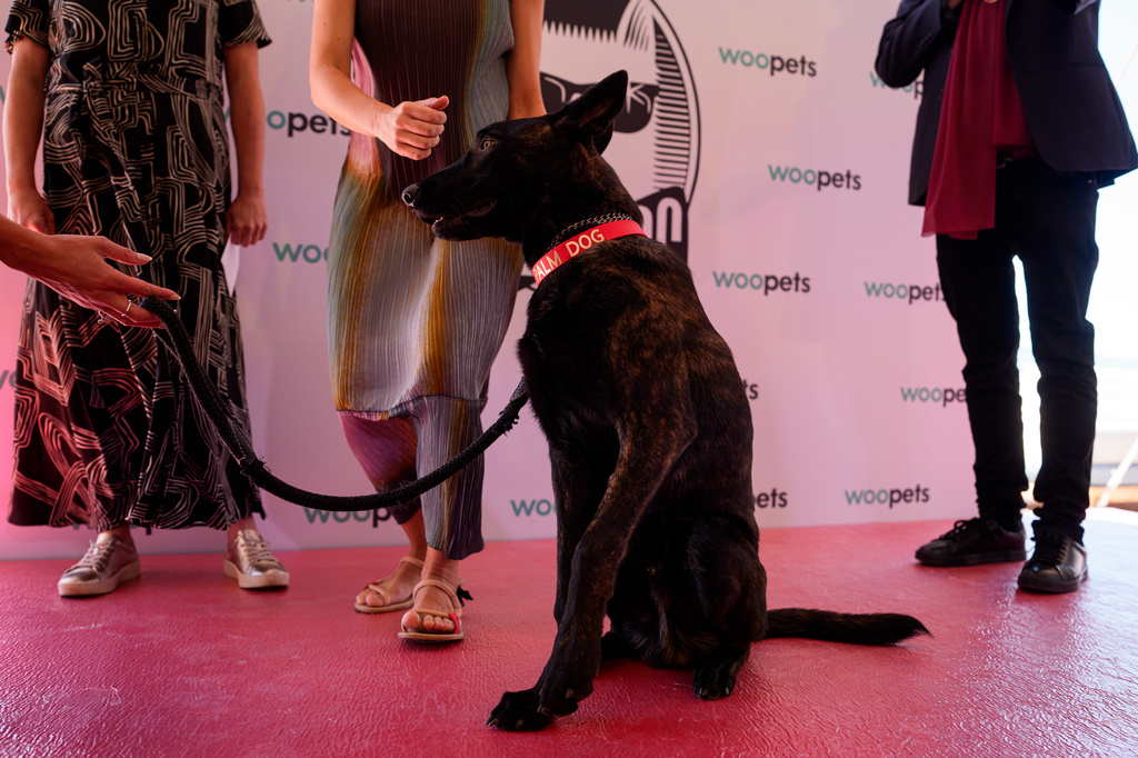 Chilean film “La Perra” wins Cannes Palm Dog