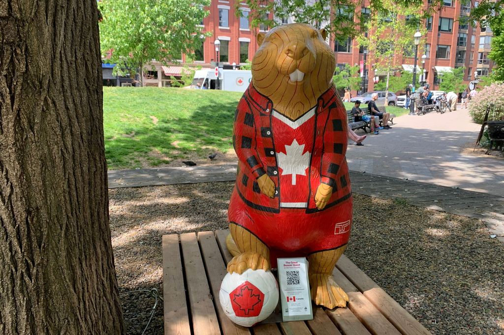 Toronto hides 51 beaver statues for a World Cup game