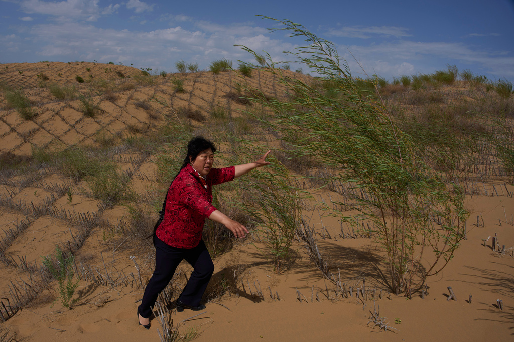 China’s decades-long tree-planting effort holds back the desert