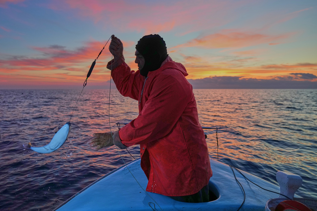 A warmer Mediterranean brings new fish and threatens local sea life