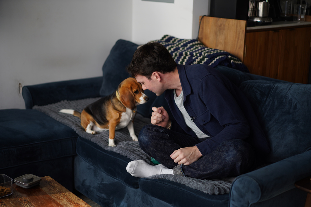 Scientists create a dog that may cause fewer allergies